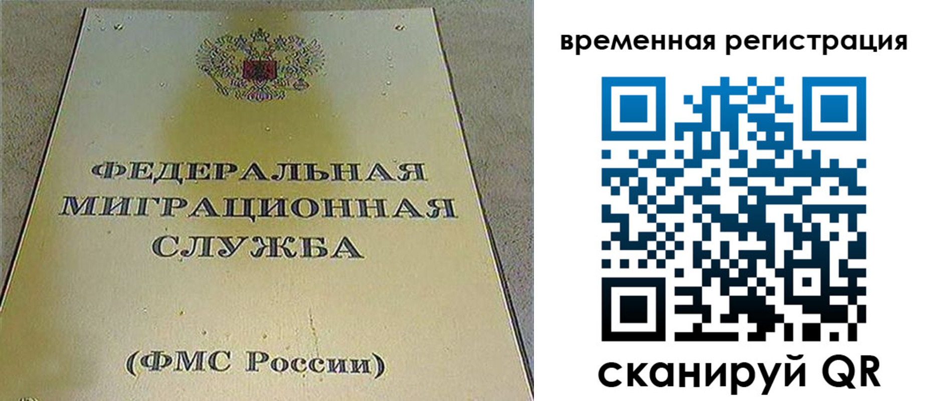 временная прописка в Химках