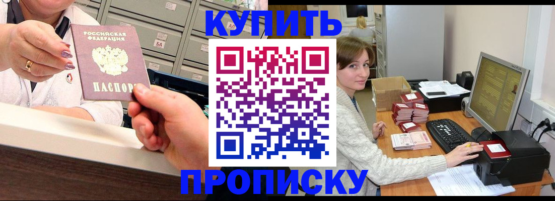 прописка гарантия в Химках